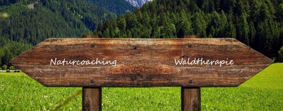 Abgrenzungen zu Naturcoaching Waldpädagogik Waldtherapie