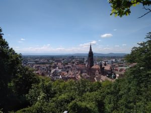 Blick auf die Freiburger Altstadt